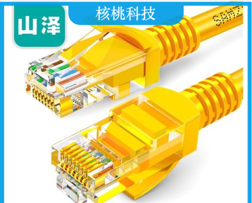 山泽(SAMZHE)YL-503 超五类网线 CAT5e类高速百兆网线 3米 黄色