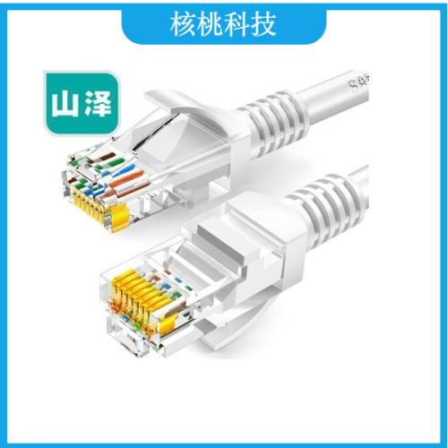 山泽(SAMZHE)ZW-03 超五类网线 CAT5e类高速百兆网线 3米 贝吉色