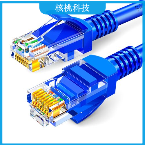 山泽SZW-1020 超五类网线 百兆网线 2米 蓝色