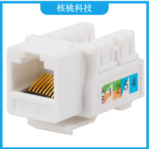 山泽（SAMZHE）WAN-06 六类网络模块 CAT6千兆网线插座面板模块 RJ45水晶头母座电脑网线镀金连接头 工程版