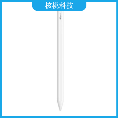 苹果Apple Pencil第二代MU8F2CH/A（适用于12.9 英寸 iPad Pro和 11 英寸 iPad Pro）