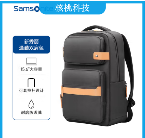 新秀丽（Samsonite）双肩包电脑包男士商务旅行背包书包15.6英寸笔记本电脑包 BY4灰色