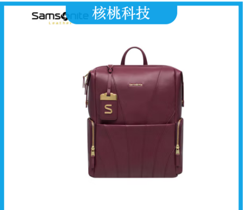 Samsonite电脑包女士双肩背包书包潮流旅行包TL3 酒红色